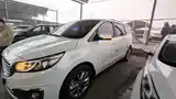 Kia Carnival, 2014-3