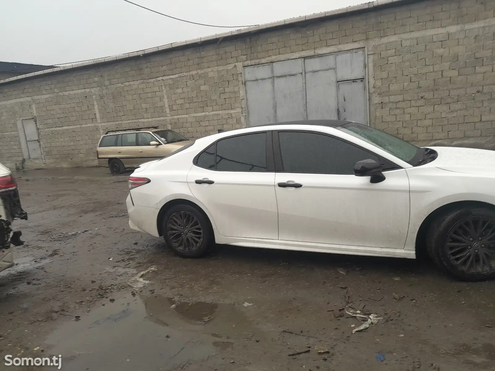 Toyota Camry, 2019-1