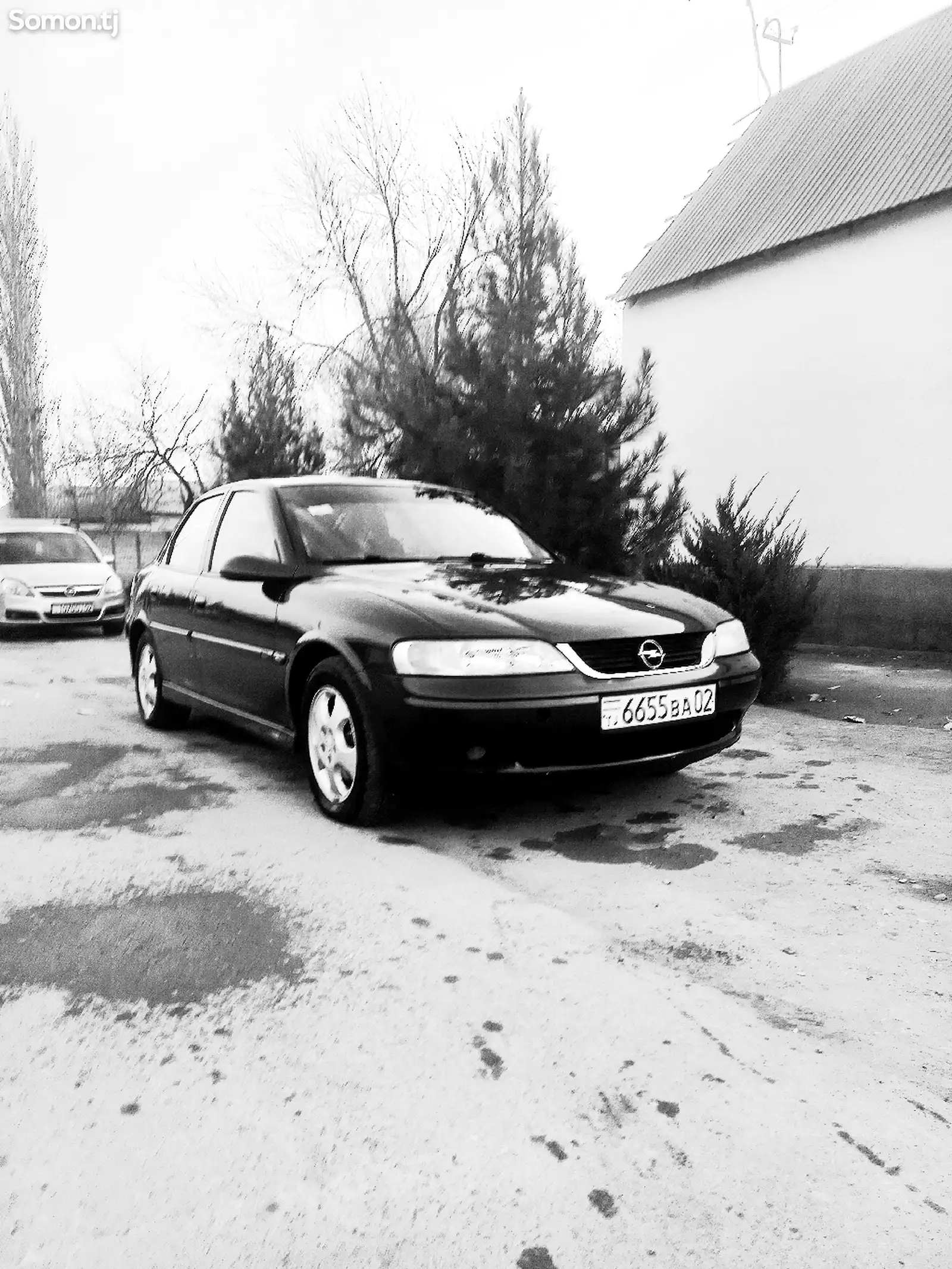 Opel Vectra B, 2000-1