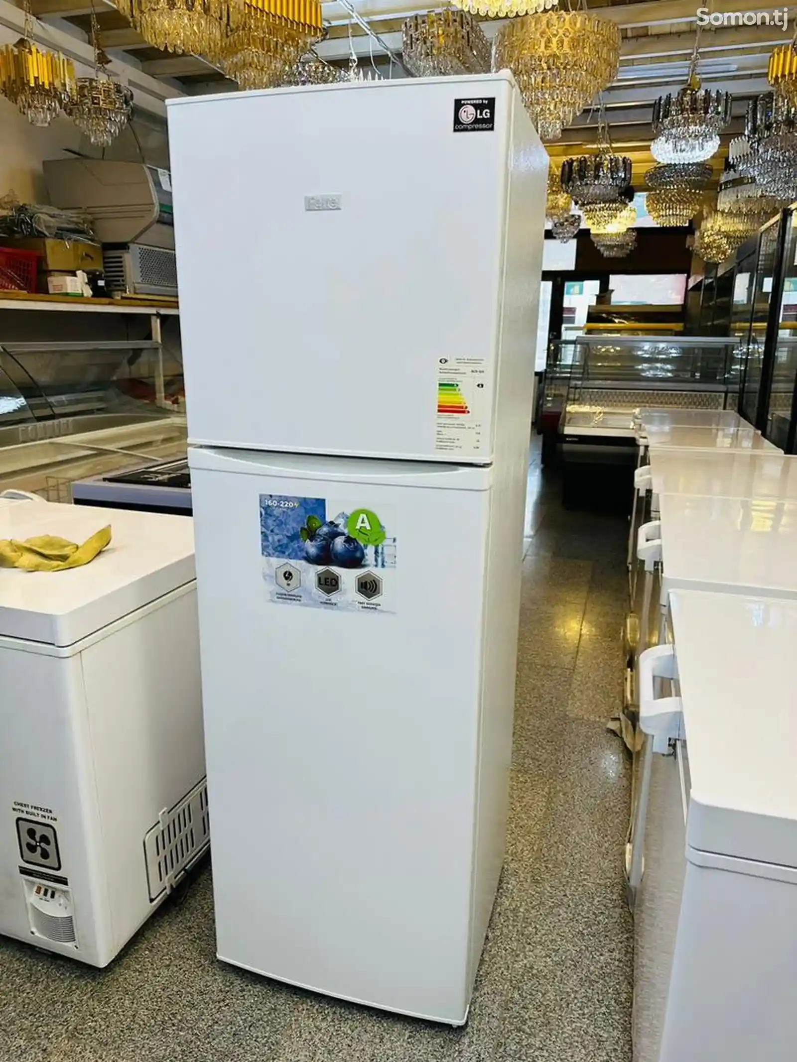 Холодильник KLEO LG Motors-1