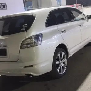 Toyota Mark X ZiO, 2007