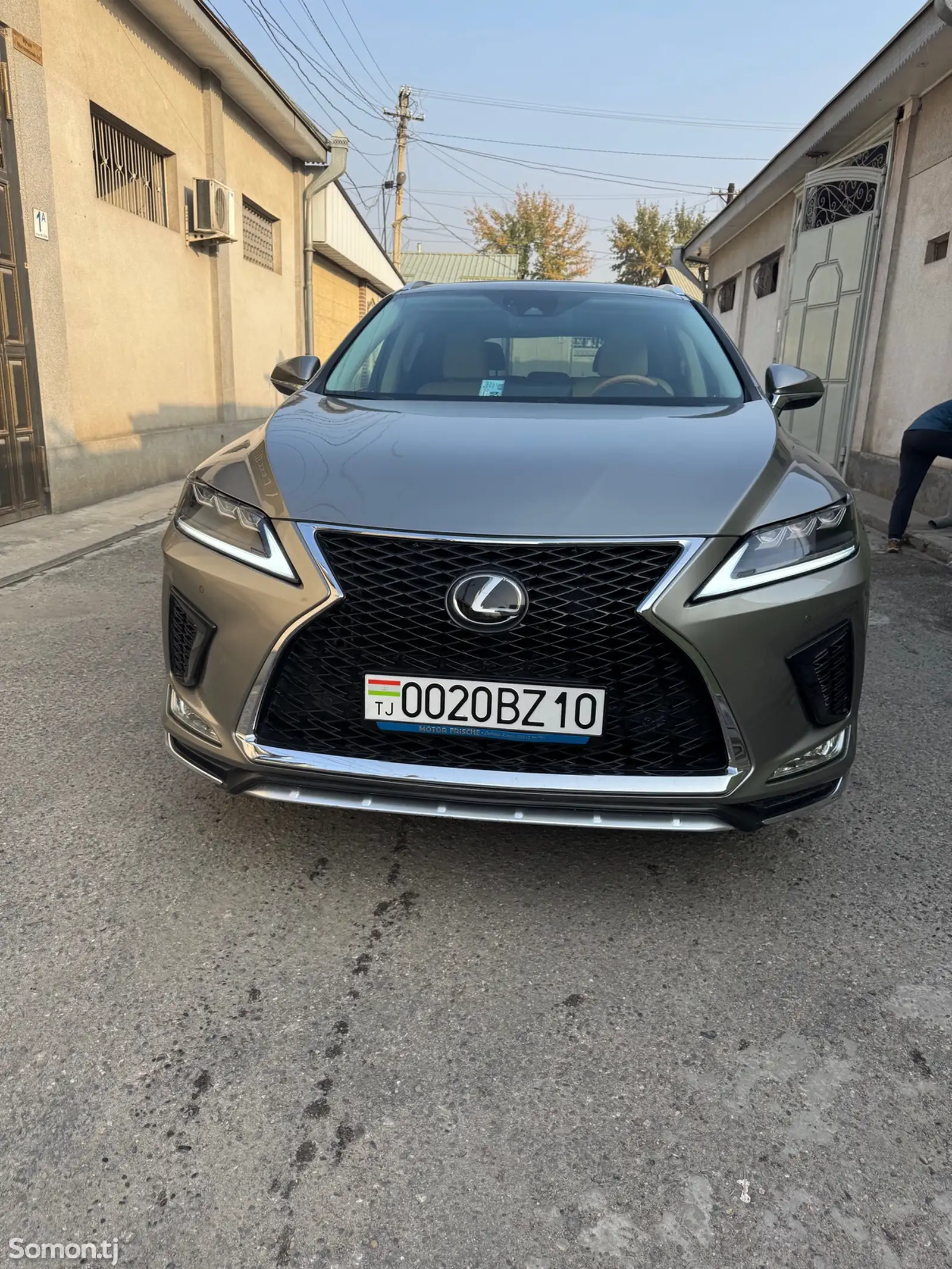 Lexus RX series, 2019-1