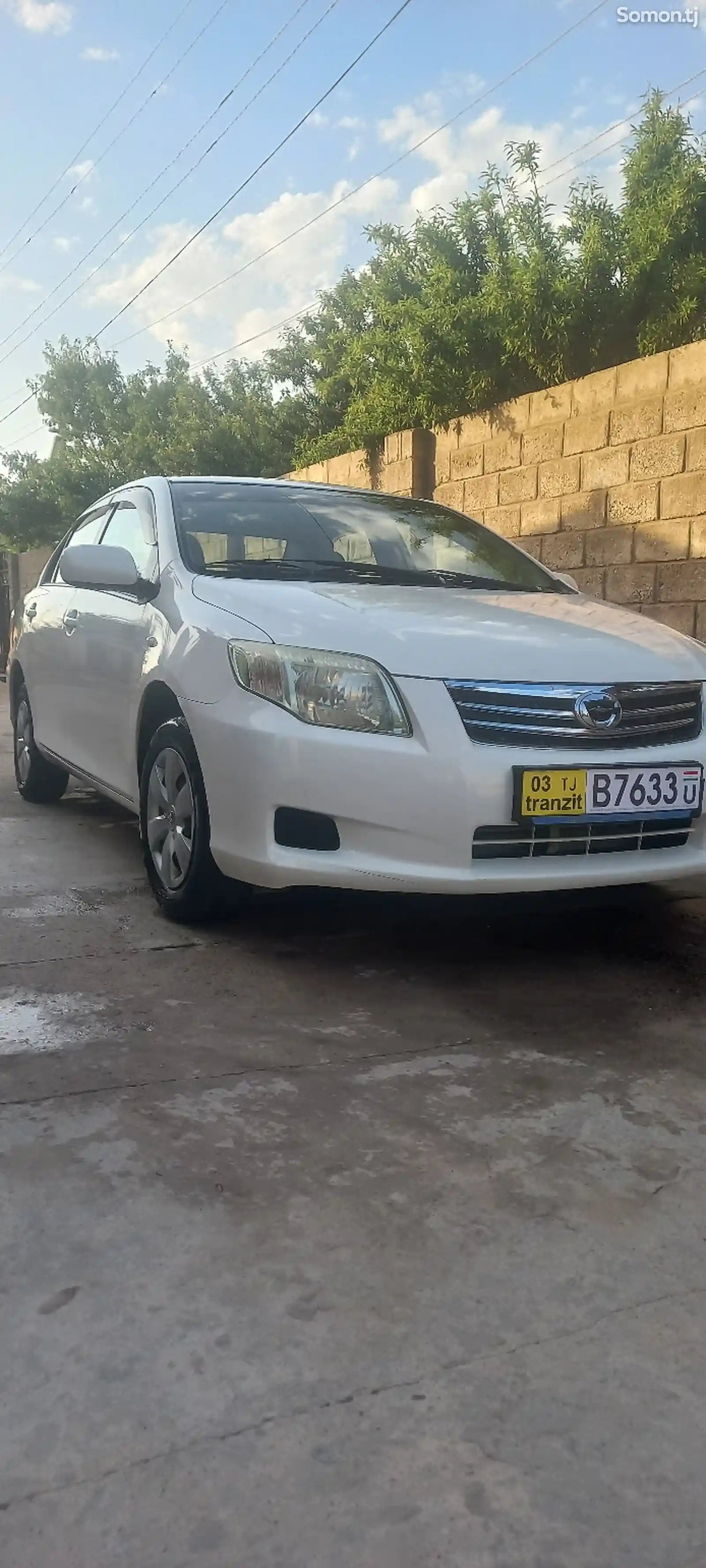 Toyota Axio, 2008-1