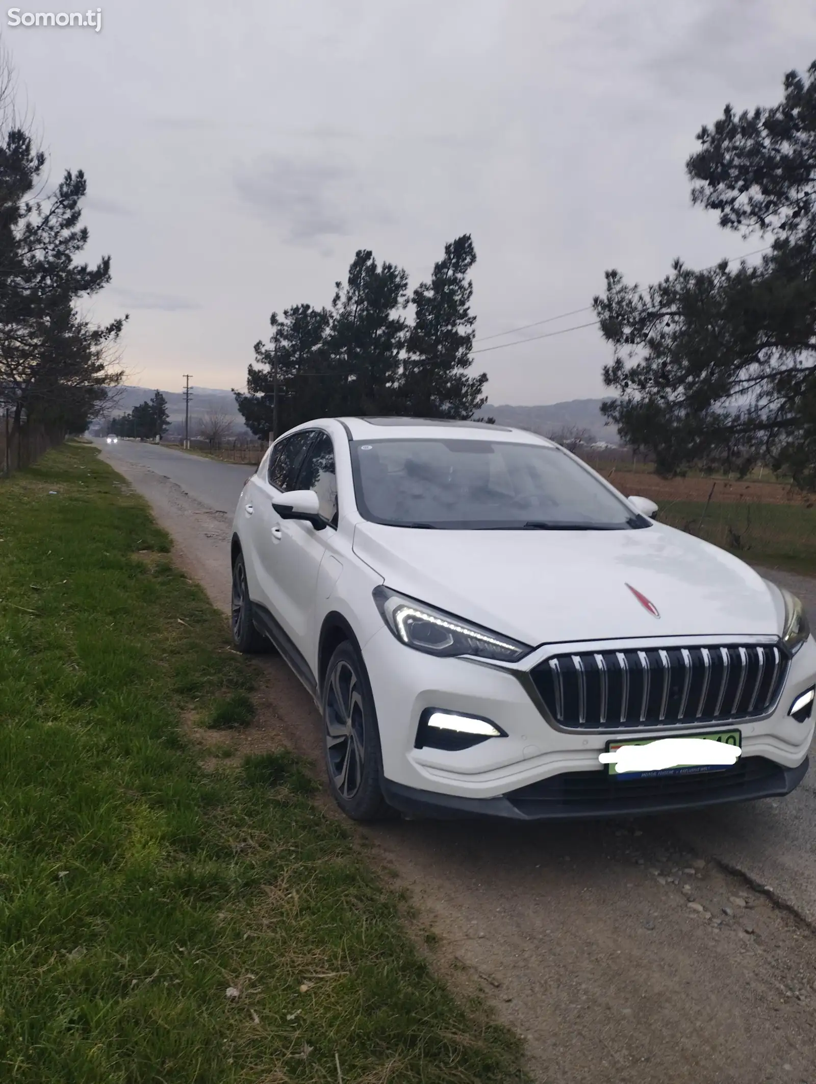 Hongqi HS3, 2019-1