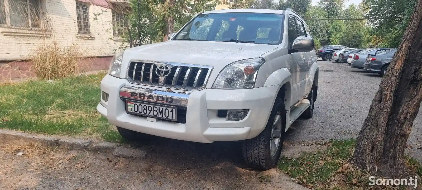 Toyota Land Cruiser Prado, 2007-5