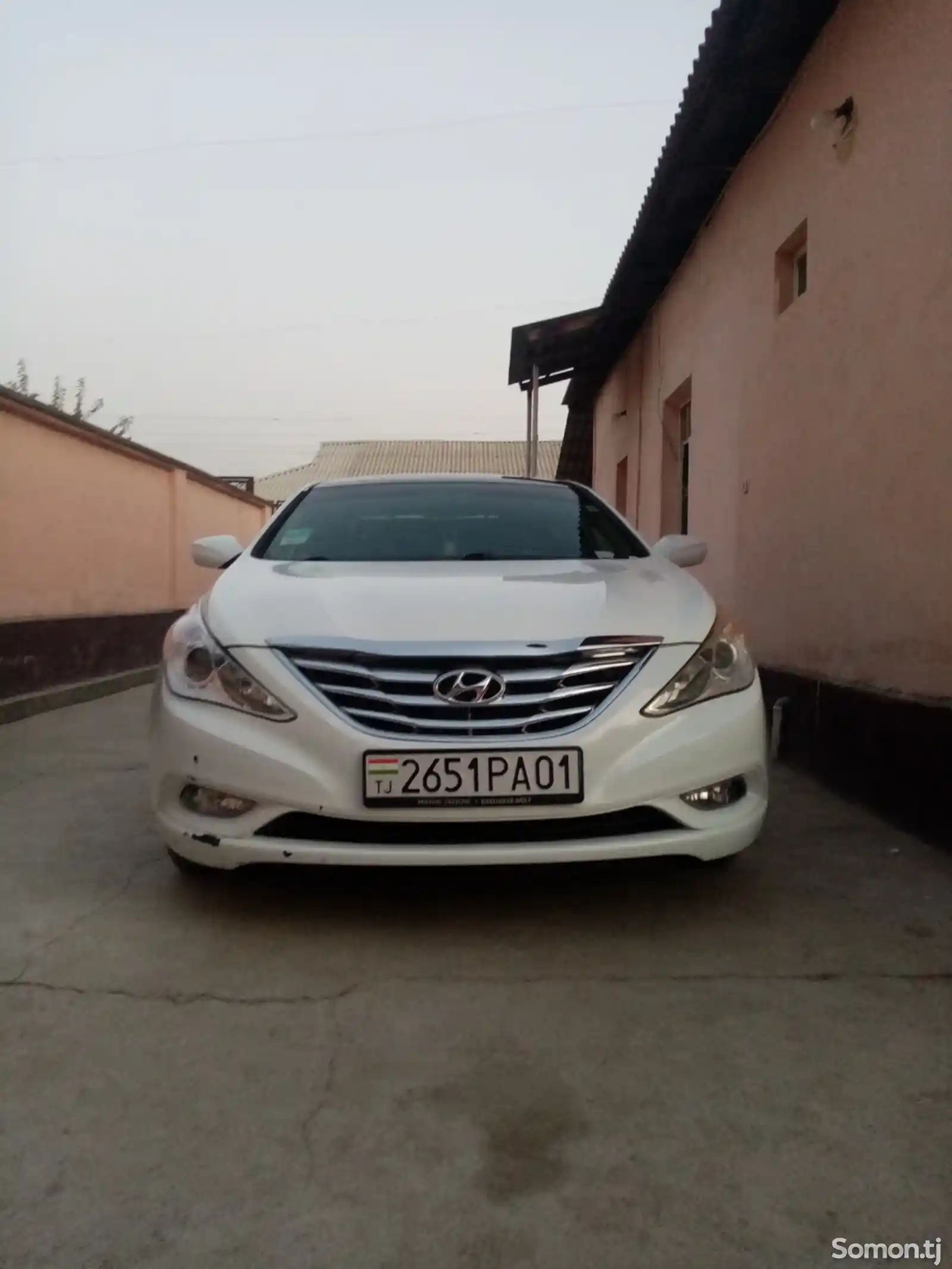 Hyundai Sonata, 2010-1