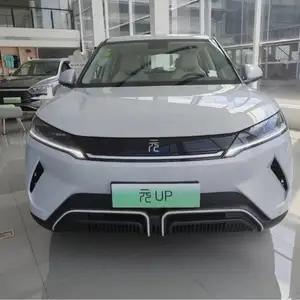 BYD Yuan Up, 2024