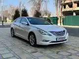 Hyundai Sonata, 2010-5