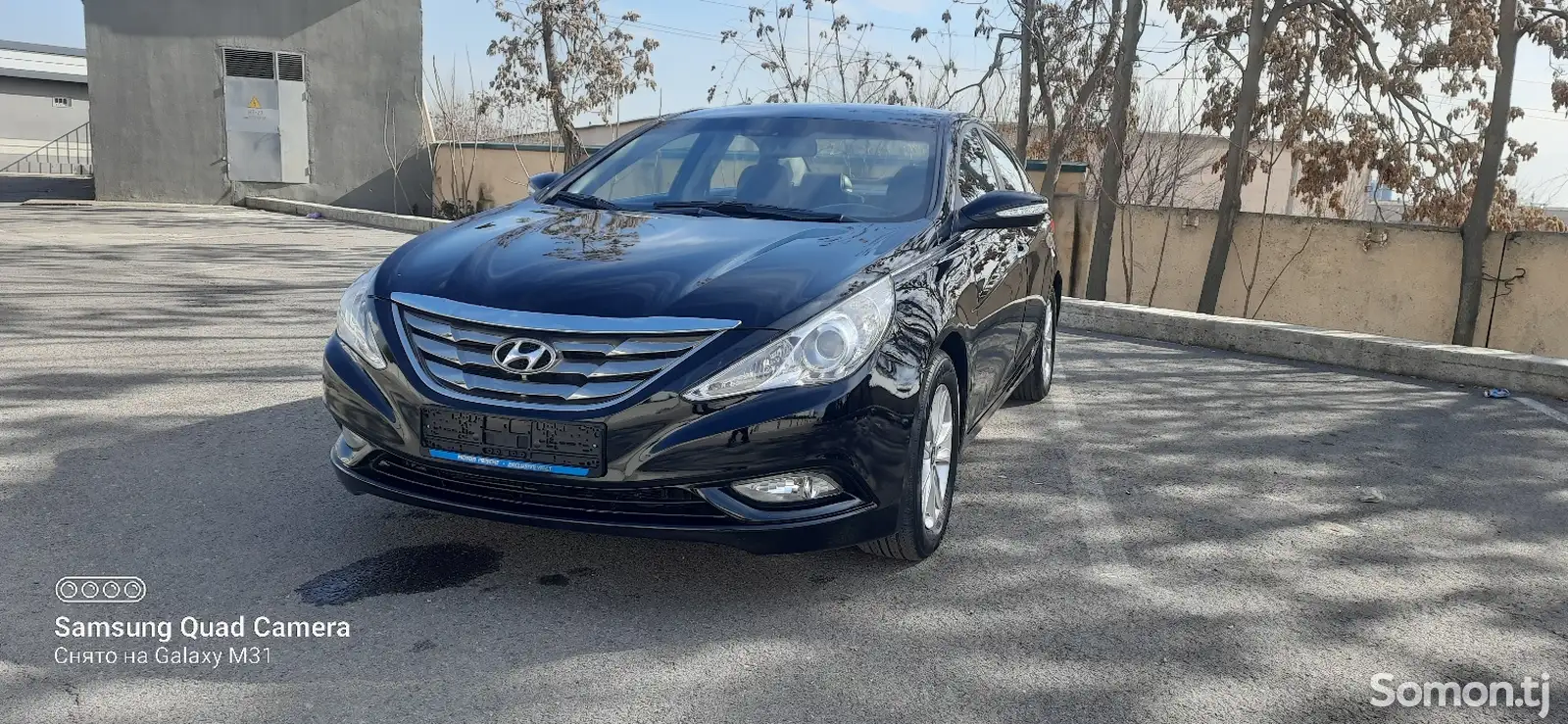 Hyundai Sonata, 2010-1