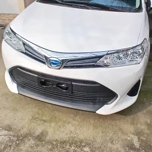 Toyota Axio, 2019