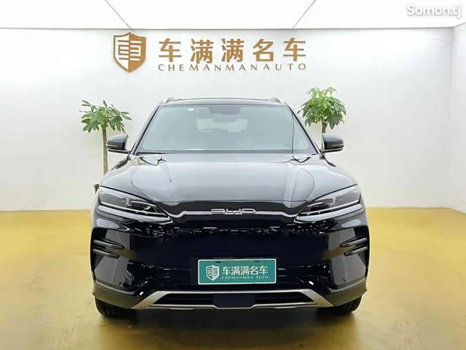 BYD Song Plus Flagship, 2023-2