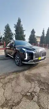 Hyundai Palisade, 2021-12