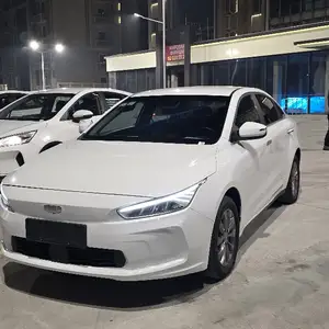 BYD E2, 2020