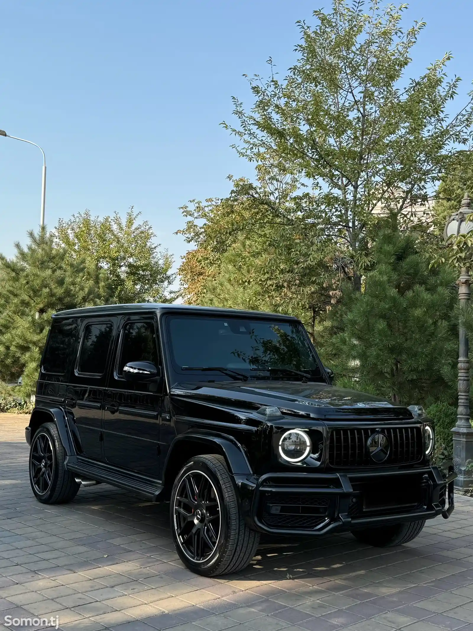 Mercedes-Benz G class, 2020-8