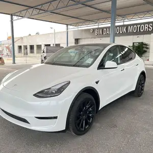 Tesla Model Y, 2025