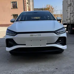 BYD E2, 2024