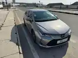 Toyota Corolla, 2019-8