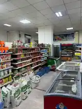 Помещение под магазин / салон, 170м², Посольство Узбекистана-10