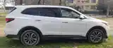 Hyundai Santa Fe, 2017-6