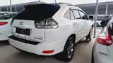 Lexus RX series, 2008-3