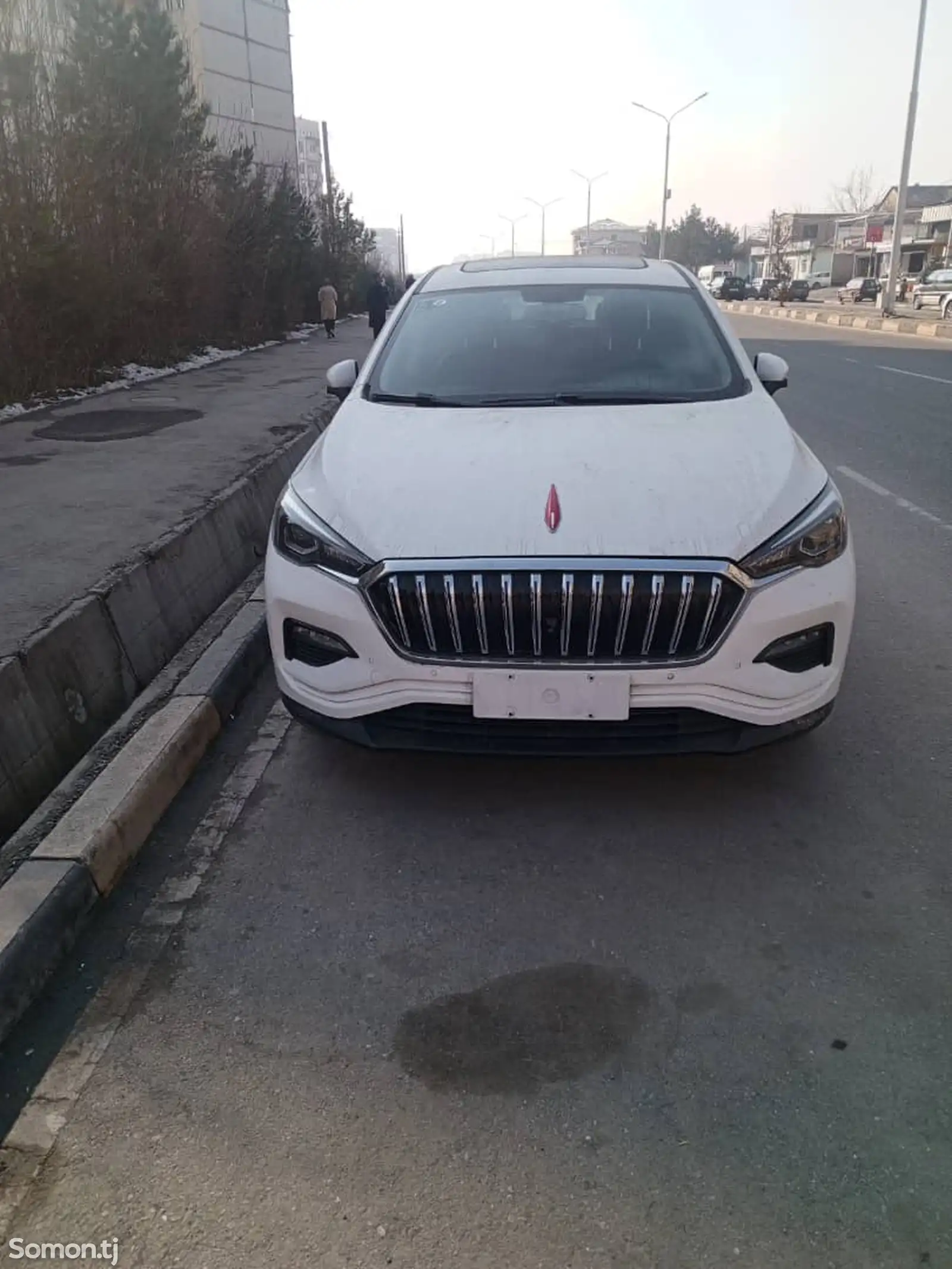 Hongqi E-HS3, 2020-1