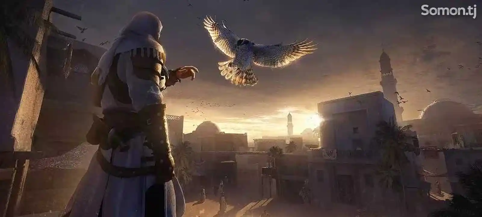 Игра Assassin's Mirage цифровой версии PS4-2