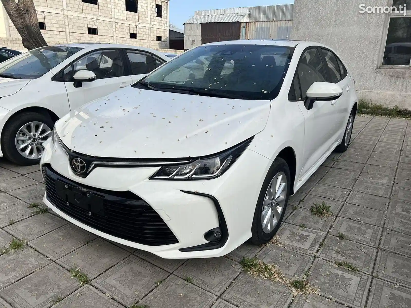 Toyota Corolla, 2023-2