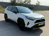 Toyota RAV 4, 2024-8