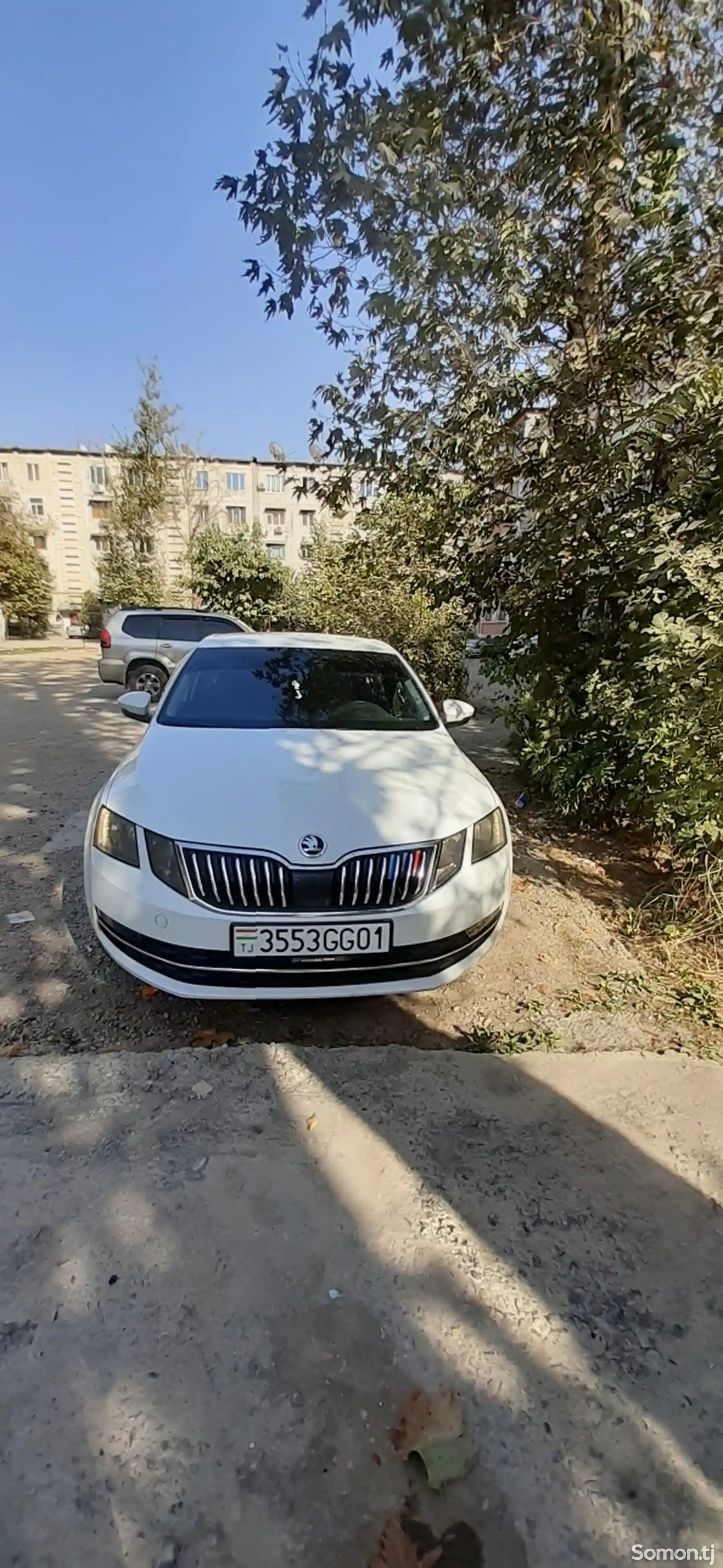 Skoda Octavia, 2019-1