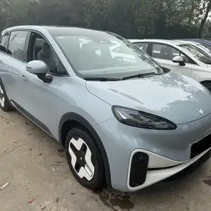 BYD E2, 2024