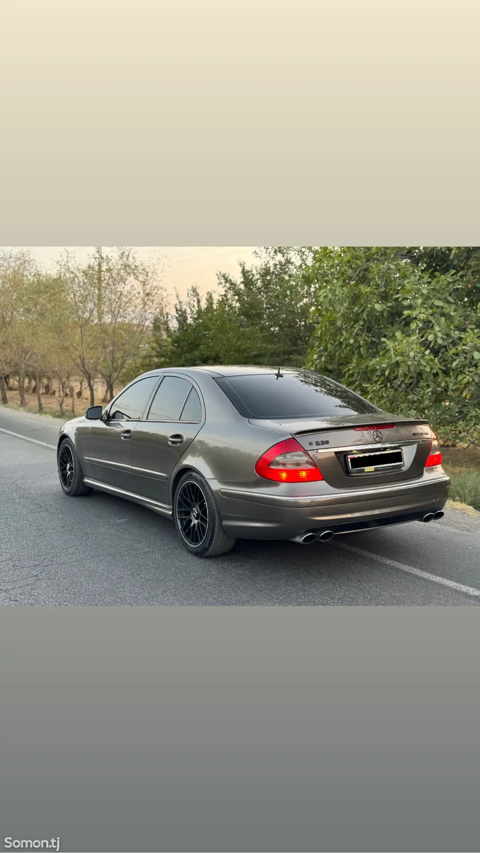 Mercedes-Benz E class, 2008-6