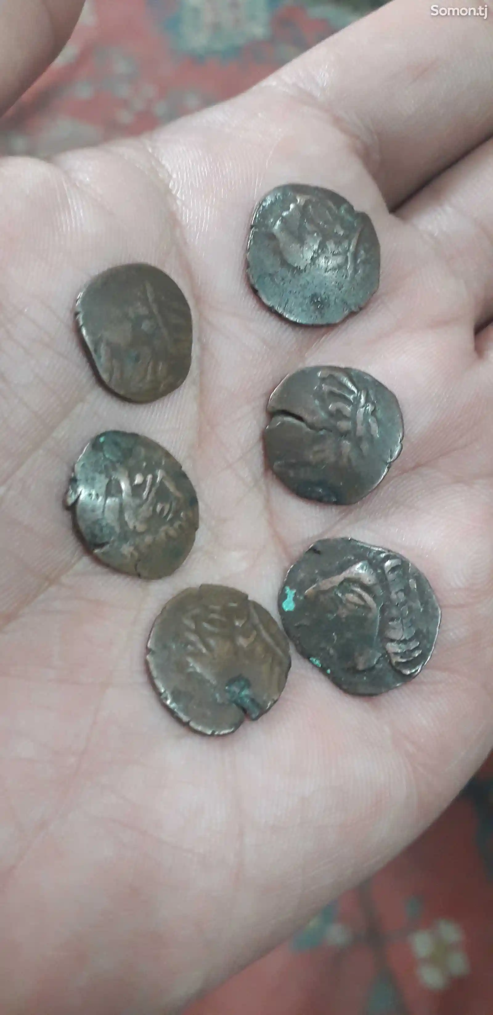 Монеты древнего Согда-1