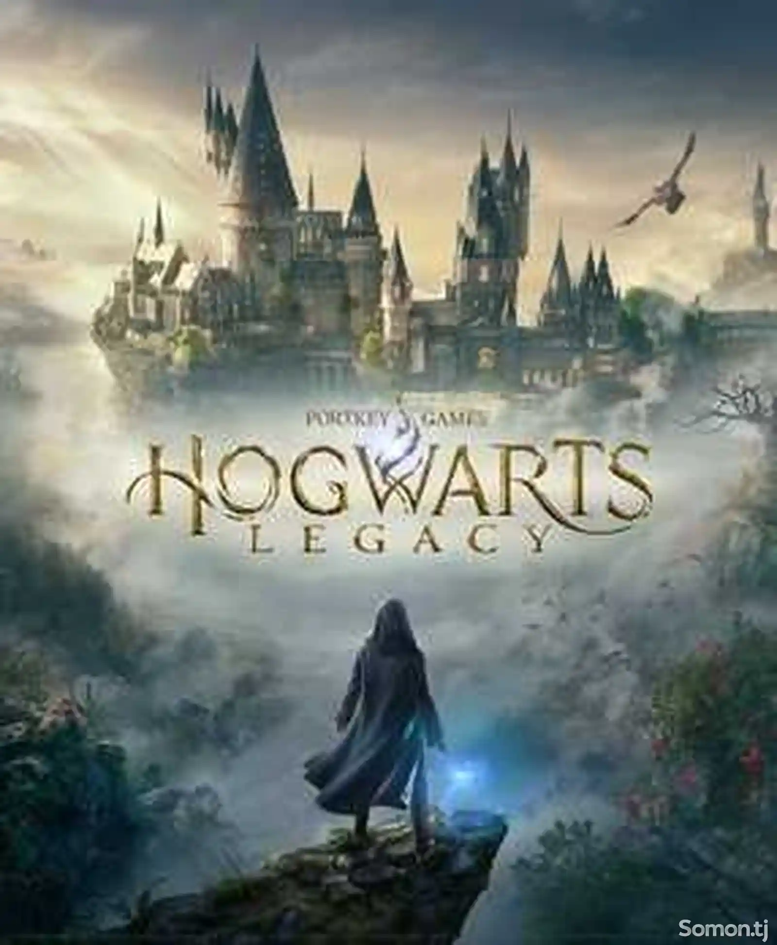 Игра Hogwarts Legacy deluxe edition ps4-1