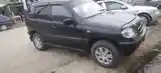 Chevrolet Niva, 2006-4