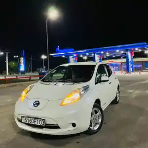 Nissan Leaf, 2013