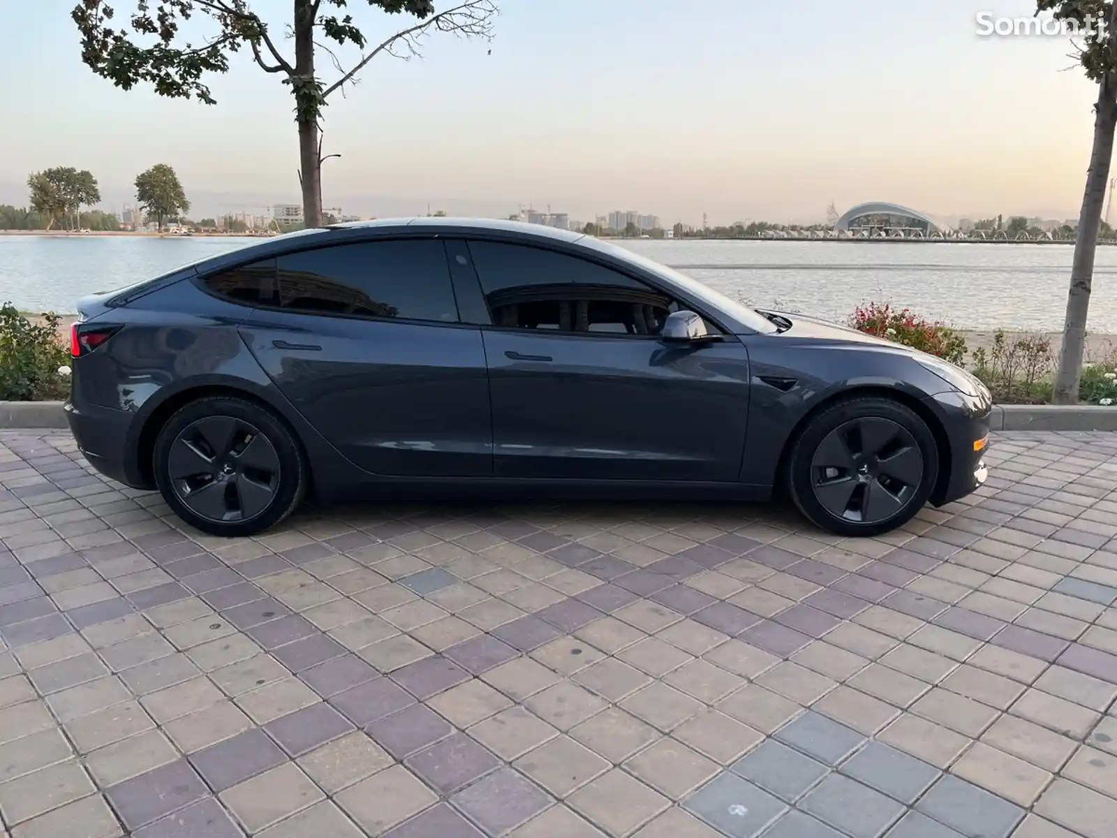 Tesla Model 3, 2023-3