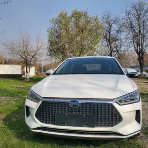 BYD E3, 2020