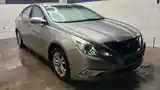 Hyundai Sonata, 2010-6