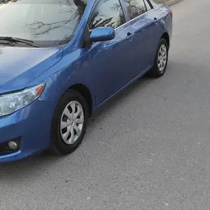 Toyota Corolla, 2010