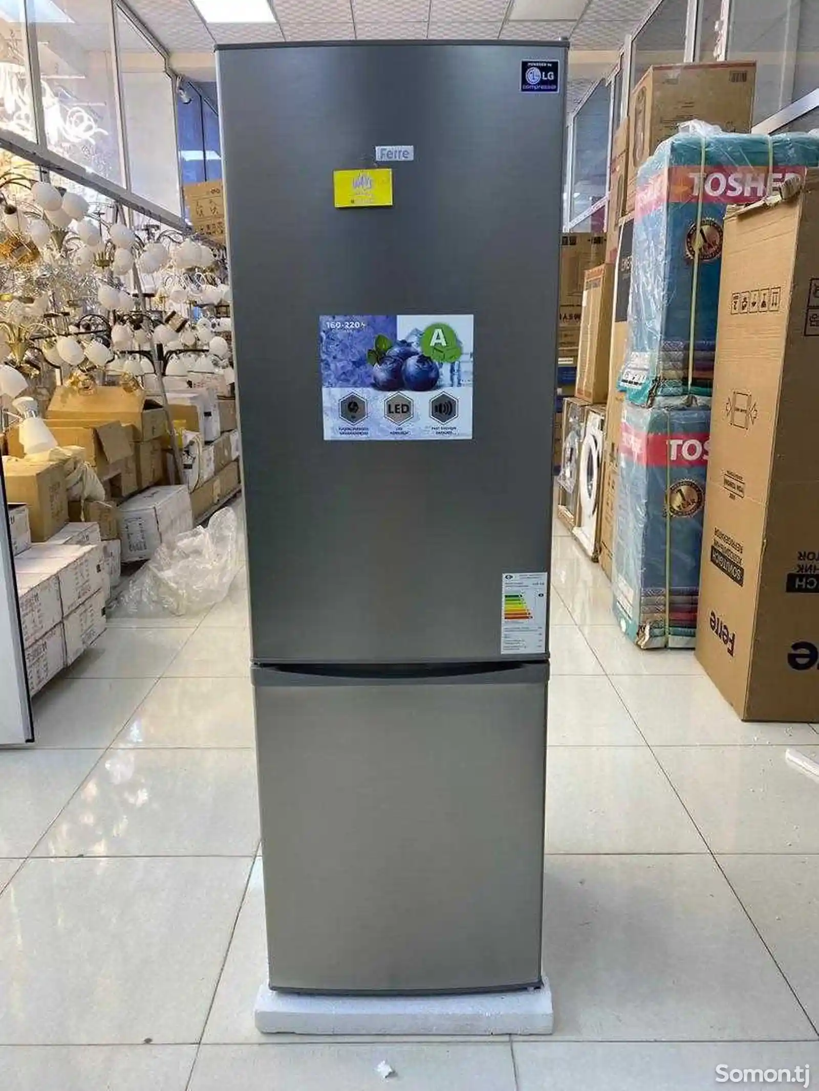 Холодильник Ferre-5