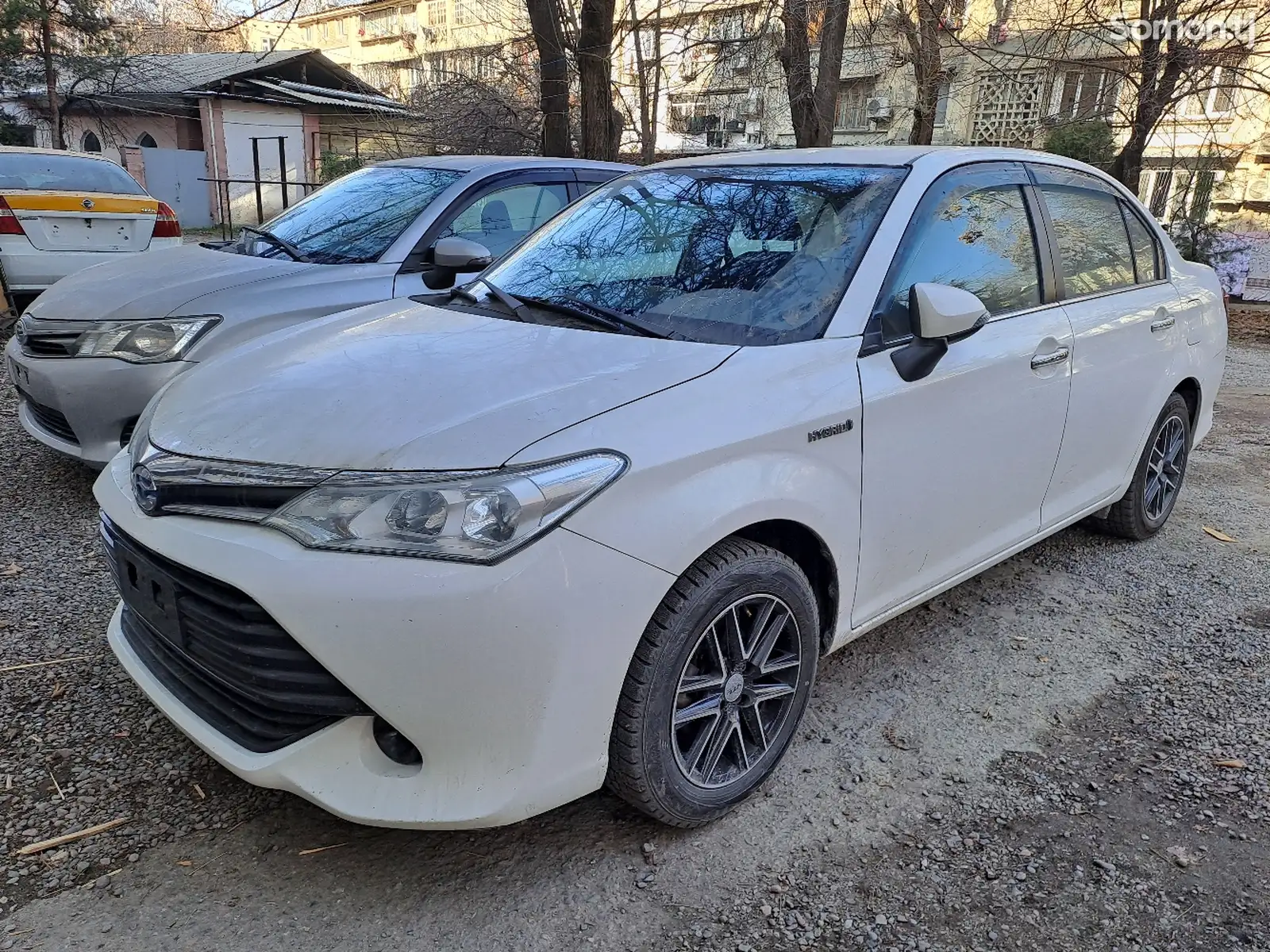 Toyota Axio, 2015-1