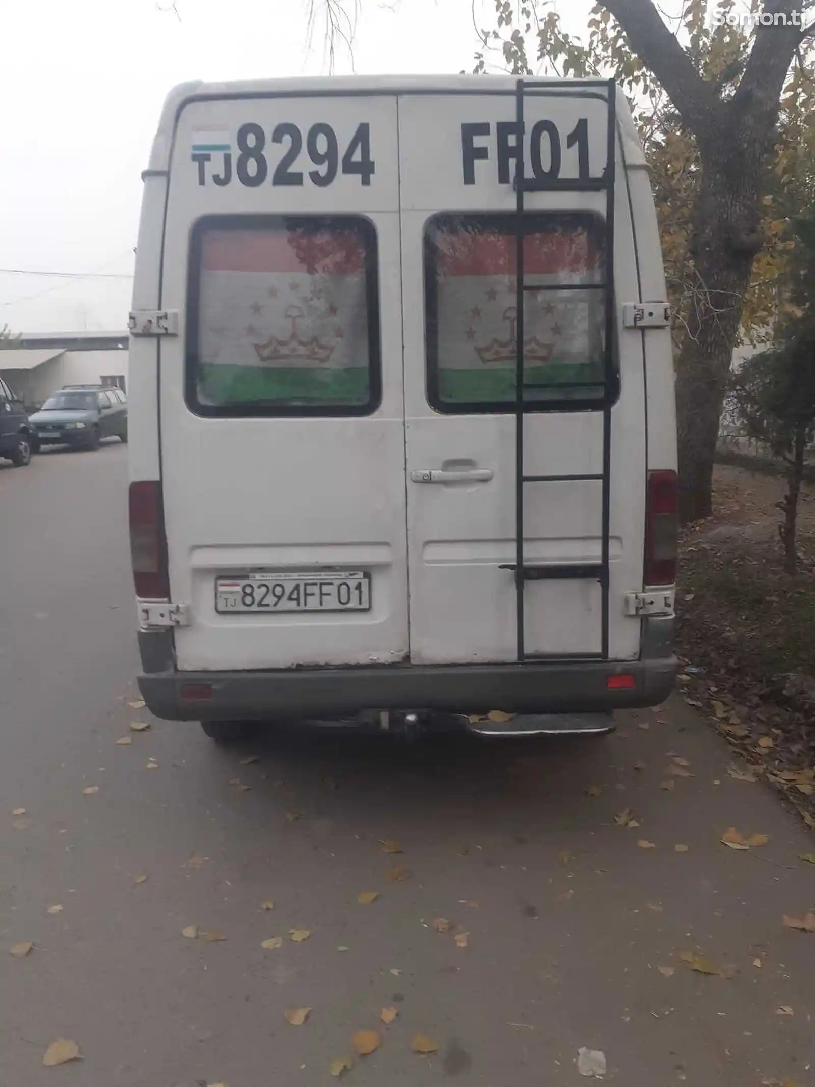 Лестница для Mercedes Benz Sprinter-1