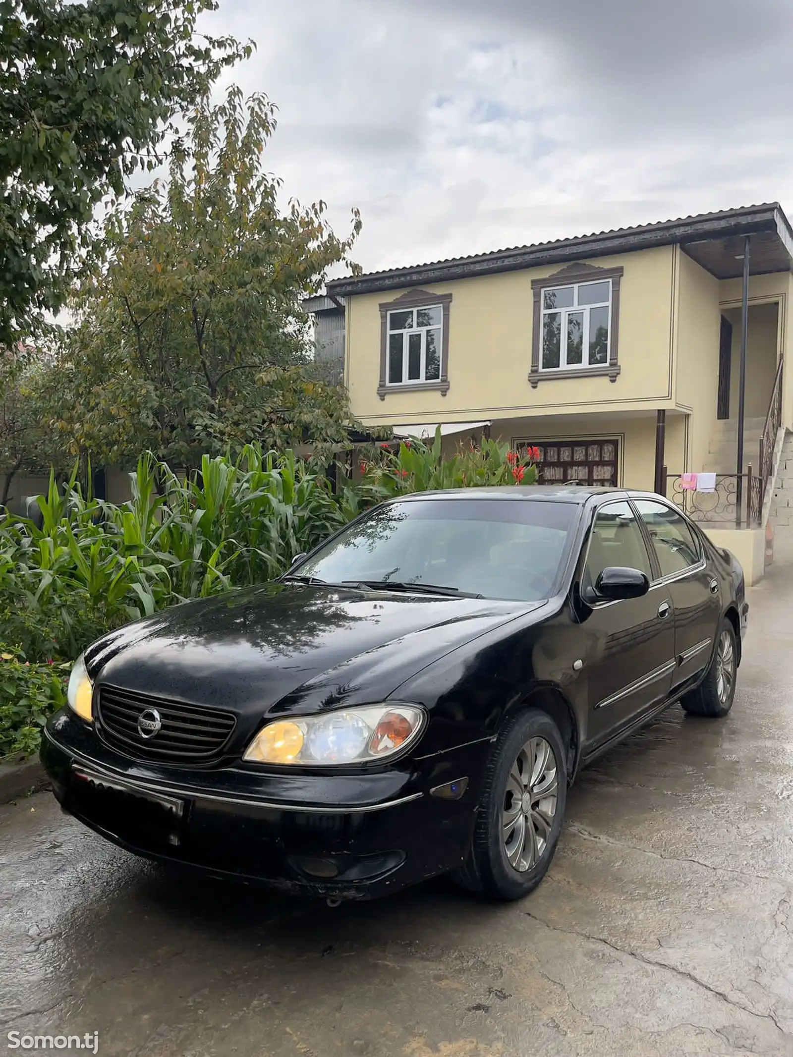 Nissan Maxima, 2004-1