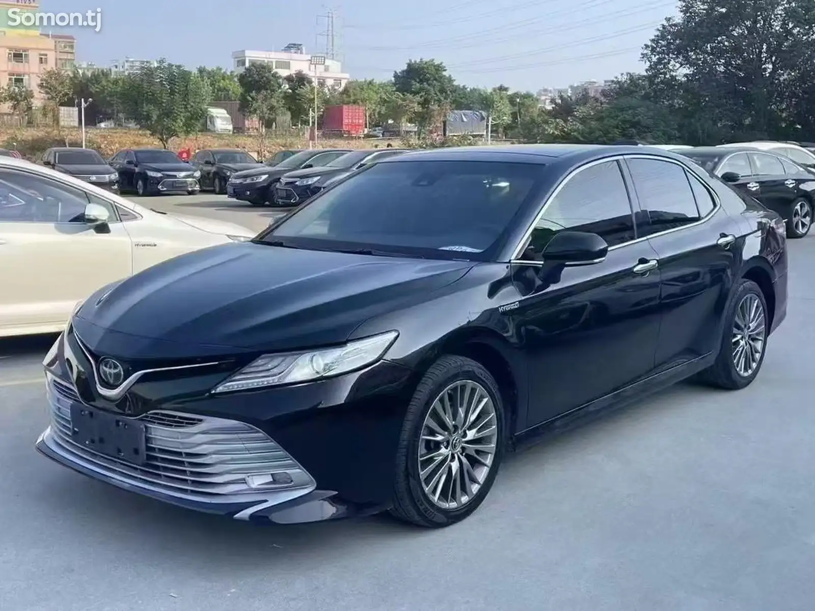 Toyota Camry, 2020-1