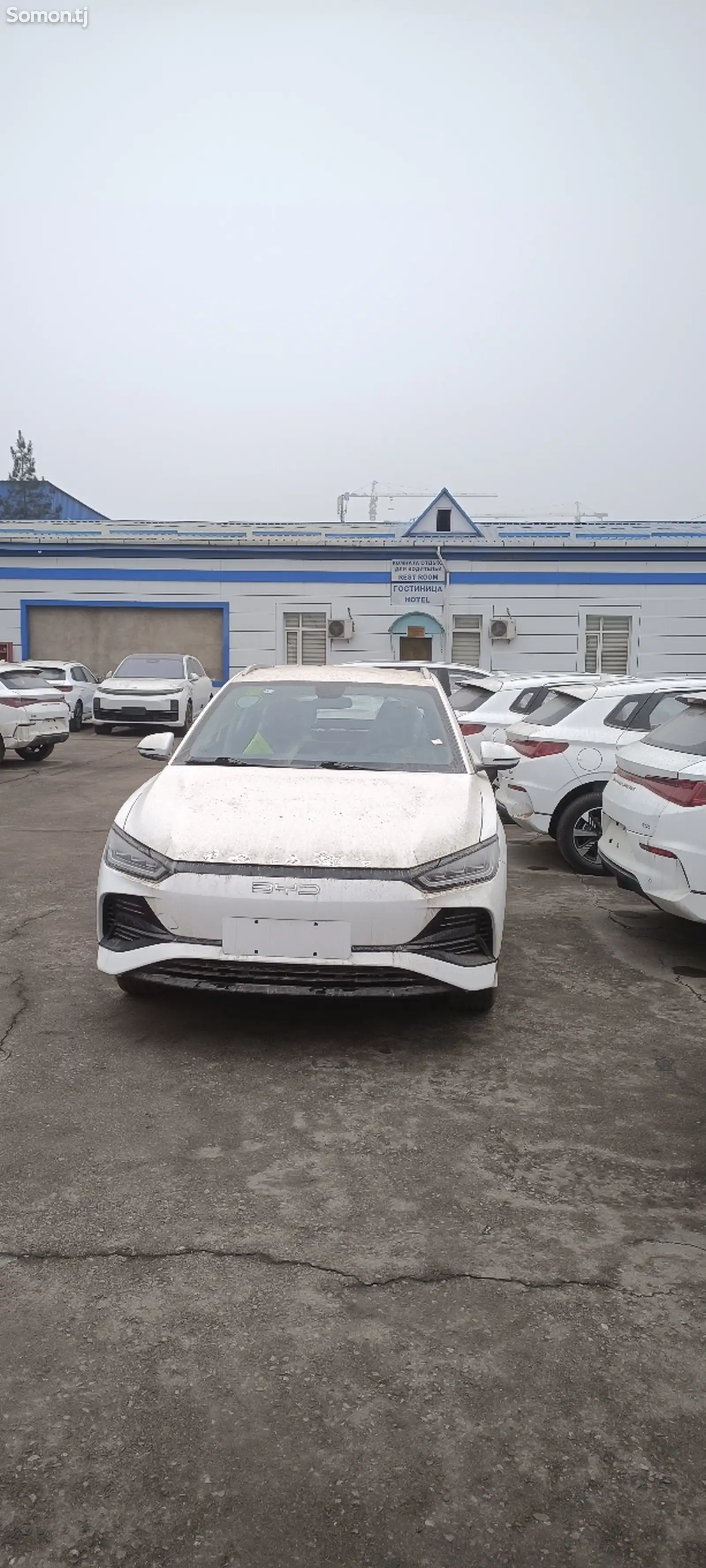 BYD E2, 2024