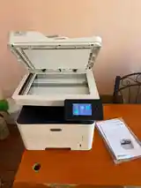 Принтер Xerox B215-3