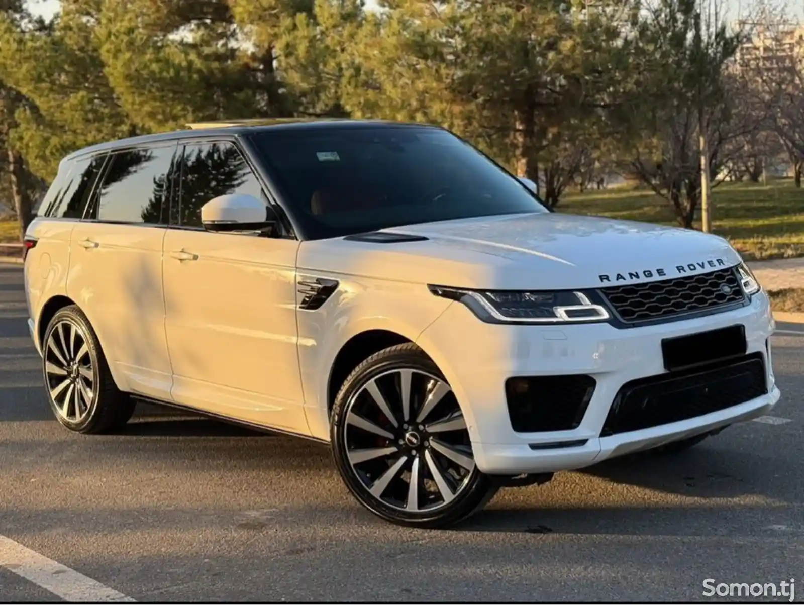 Land Rover Range Rover Sport, 2019-1