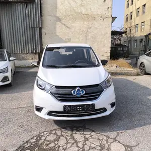 Changan Qiyuan A, 2022