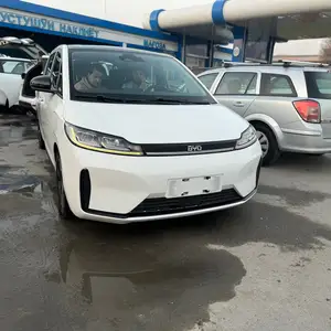 BYD Другие модели, 2022