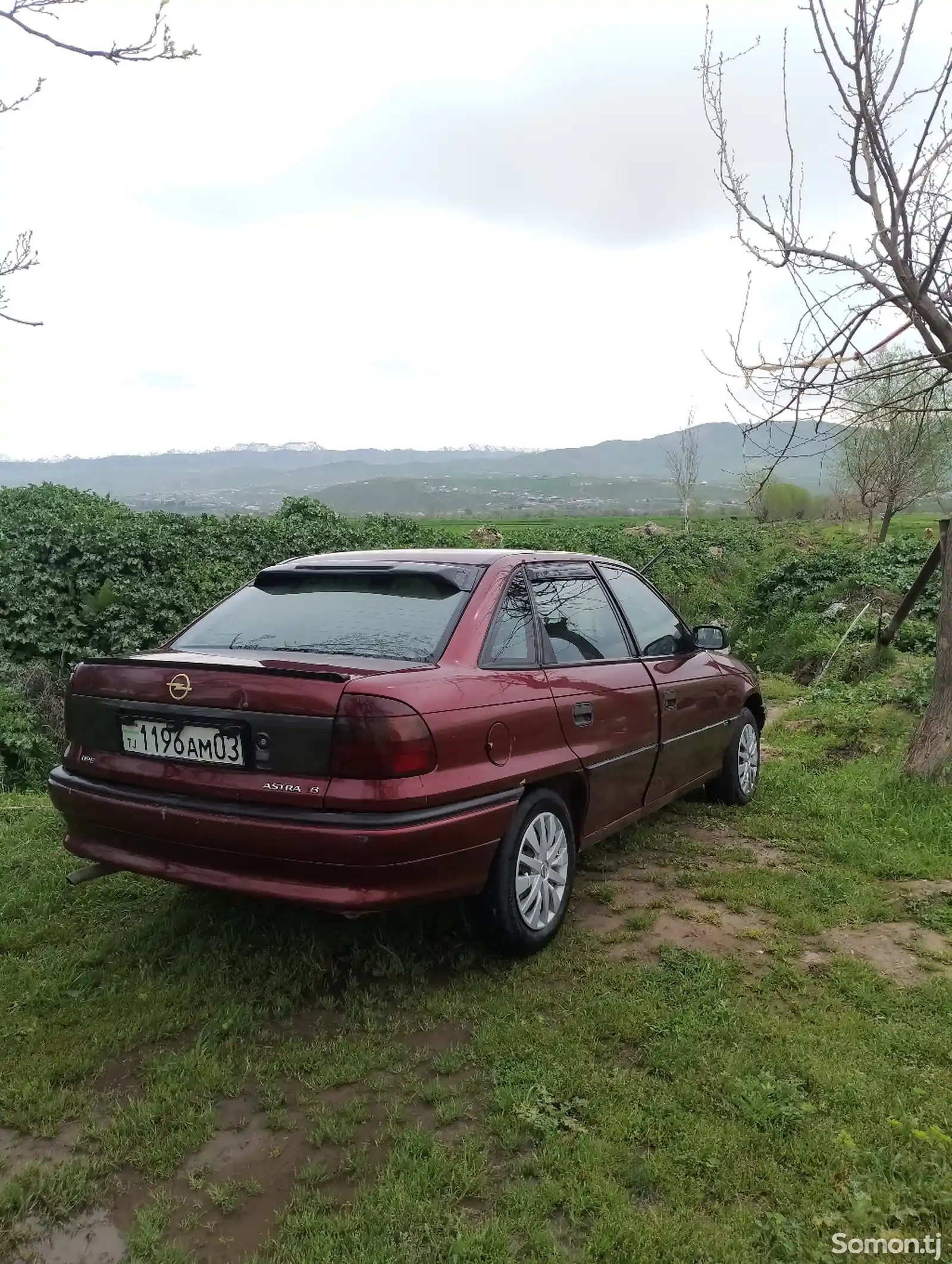 Opel Astra F, 1994-6